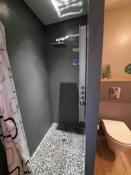 Maison Climatisee Confortable Trèbes Extérieur photo